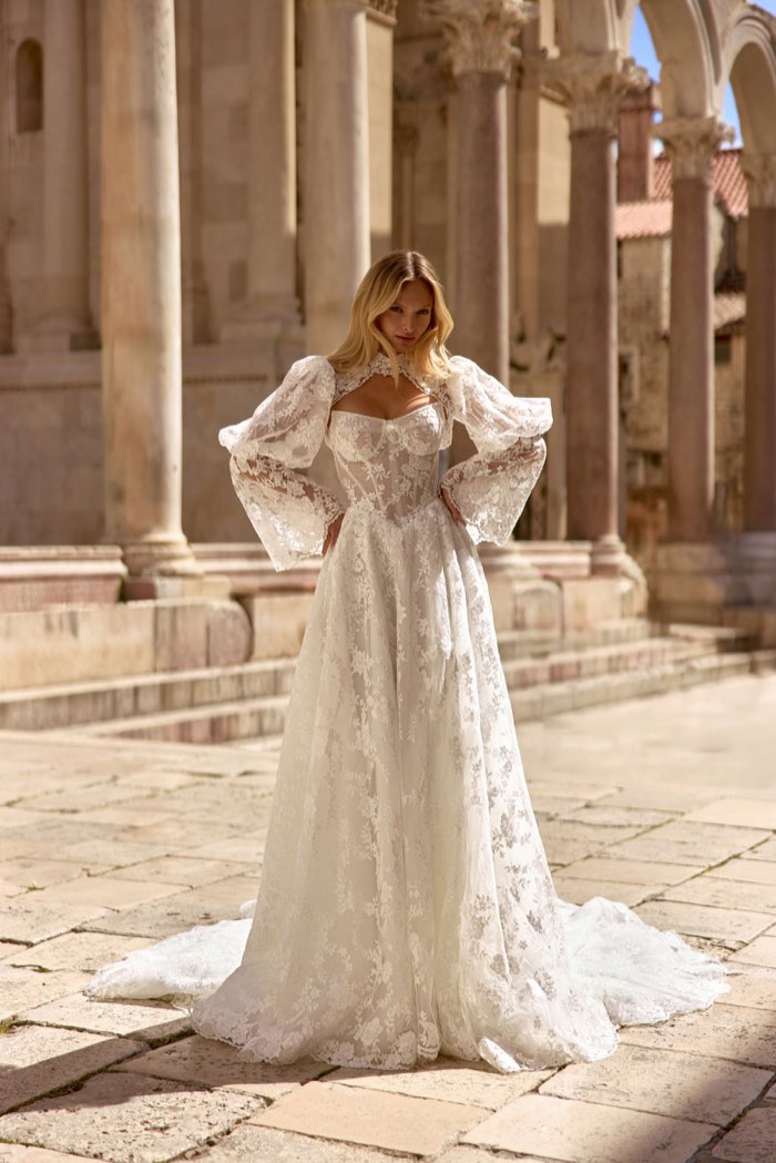 Luminous Veil